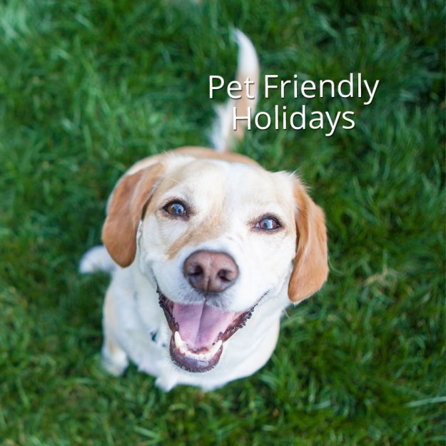 pet-friendly-holidays-BL